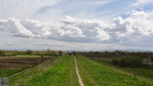 DSC00854