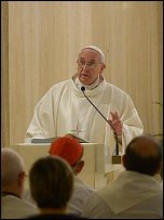 francisc ecologie