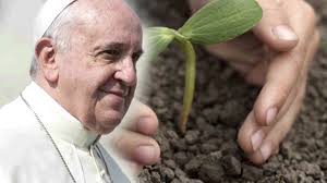 laudato si papa