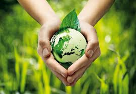 laudato si simbol