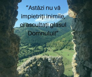 43112859_457397651448342_5562617715069288448_n (1)