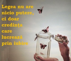 44126850_462191187635655_4669719904293748736_n