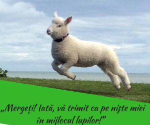 44162539_463025647552209_1152156283168620544_n