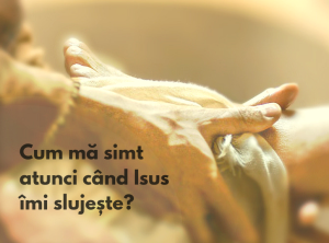 44597596_465207490667358_3505217561539117056_n