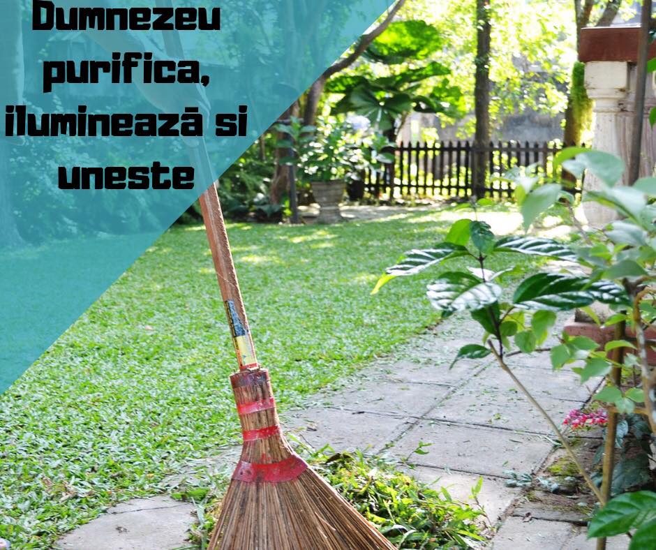 45638231_474351536419620_7271700414645403648_n