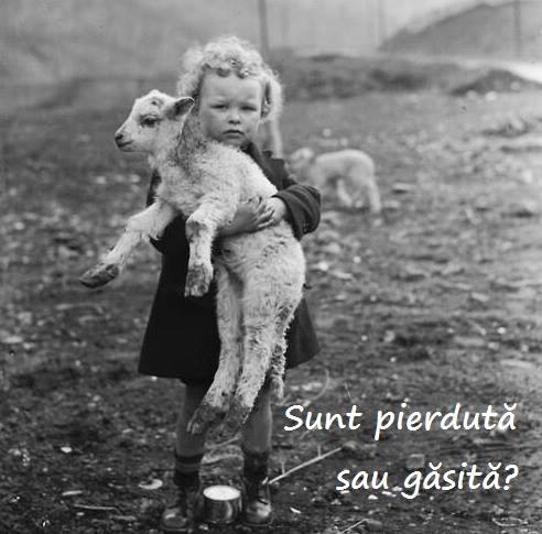 48367765_491689978019109_6587588987127332864_n